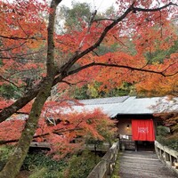 La tana nel Bosco - 紅葉が見事でした