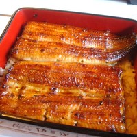 鰻割烹 伊豆栄 本店 - うな重（竹）