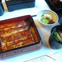 鰻割烹 伊豆栄 本店 - うな重全容