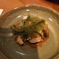 SHIKAKU - 