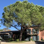 Michel Kayser Restaurant Alexandre - 