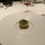 カンテサンス - 