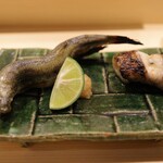 麻布十番 鮨とも - 本ししゃも、スミクイウオ