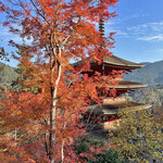 手打ちうどん ぶれーど・う - 五重塔