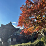 手打ちうどん ぶれーど・う - 長谷寺参拝