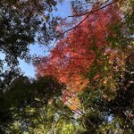 タカオネキッチン - 