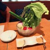 海鮮・鎌倉野菜 まつだ家