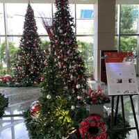 フレンチ キッチン - 