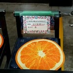 伊豆オレンヂセンター - 