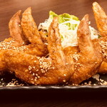 5 Nagoya specialty chicken dish