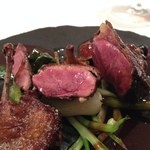 エクアトゥール - アップです