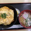 丸純うどん