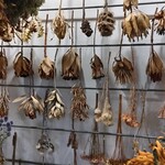 スローファーム - 