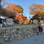 Nakatanidou - 中谷堂近くの興福寺の紅葉