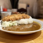 Tonkatsu Aoki No Curry Ya Ippe Koppe - 横からロースカツカレー