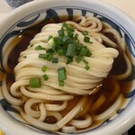 手打うどん 長谷沼 - ぶっかけうどん、アップ