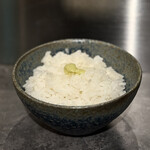 Nose to Tail - ご飯（結の神）とワサビ