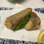 魚杳 - 