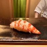 鮨 つぼみ - 車海老