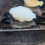 Sushi Kouto - アオリイカ