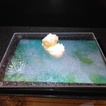 寿司茶屋 すし活 - 