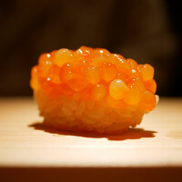 佐野鮨 - ◇いくら
                    今年最後とされる名物のいくら。