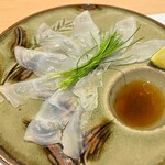 Shibuya Fugu Tatsu - 