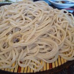 Teuchi Soba Hyakujou - 