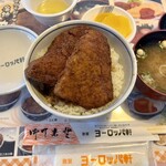 敦賀ヨーロッパ軒 - ミニカツ丼