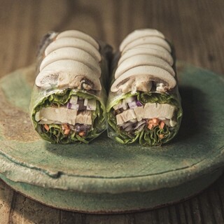 裏の山の木の子_2