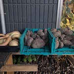 BARU 竹末 - 竹末朝市