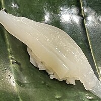地魚料理・鮨 佐々木 - イカ