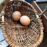 日本料理 華暦 - 