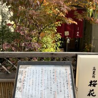 高麗橋桜花 - 