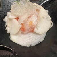 オッジ ダルマット 西麻布店 - 