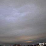 レイドバックバーガー - 