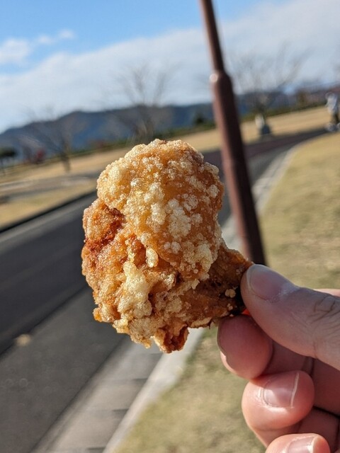 からあげ 公之鶏 伊田店 - 上伊田/からあげ | 食べログ