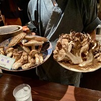 たでの葉 - 秋田コメツガの松茸 天然舞茸