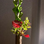 吉おか四季食彩 - 