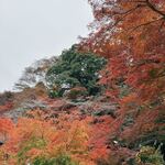 Takao San Sumika Soba Dokoro - 