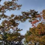 パリアッシュ - 