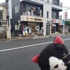 北海道十勝 佃商店