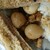 友誼食府 - 料理写真: