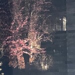 Japanese cuisine Shinju - 