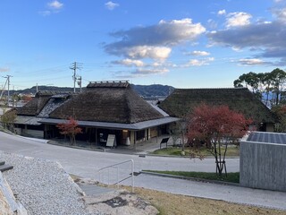 ざいごうどん 本家 わら家 - 