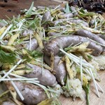 アントシカダ - 