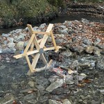 アントシカダ - 