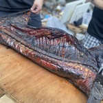 アントシカダ - 