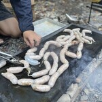 アントシカダ - 