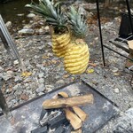 アントシカダ - 